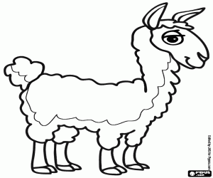 malvorlagen Ein Vikunja aus den Anden ausmalbilder