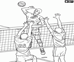 malvorlagen Volleyballspieler in Nähe von Netz ausmalbilder