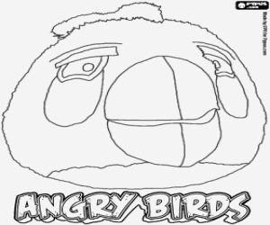 malvorlagen White Bird, Angry Birds ausmalbilder