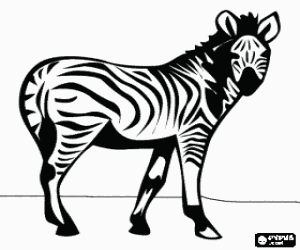 malvorlagen Zebra, wildes Tier ausmalbilder