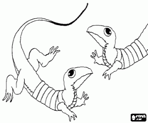 malvorlagen Zwei Eidechsen von Angesicht zu Angesicht ausmalbilder