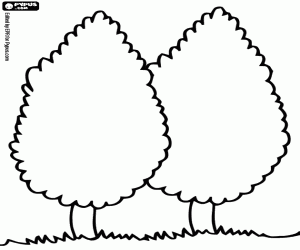 malvorlagen Zwei Zypressen, Cupressus ausmalbilder